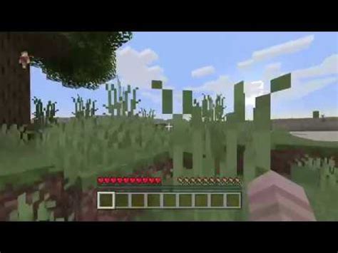 Minecraft Vod Youtube