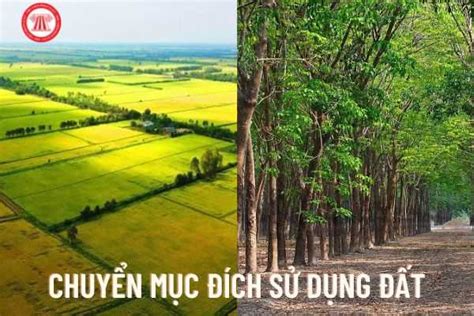 Chuyển Mục đích Sử Dụng đất Từ đất Trồng Lúa Sang đất Trồng Cây Lâu Năm Có được Không Chuyển