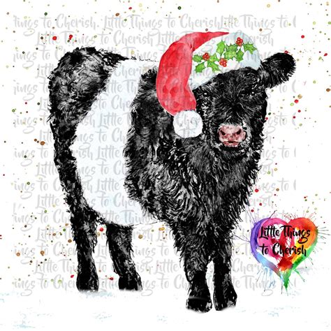 Christmas Belted Galloway Cow Clipart Belted Cow Graphics Farm Animals