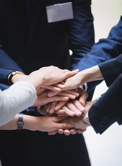 cursos  treinamentos academia financeira