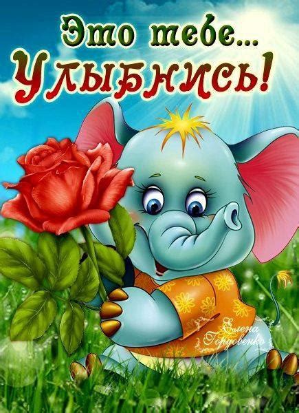 Красивые картинки не грусти | | Drasler