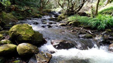 Parque Nacional Los Dinamos Recarga Tu Energia El Souvenir