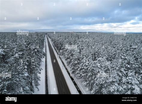 Aerial View Of Asphalt Highway Leading Through Frosty Winter Forests