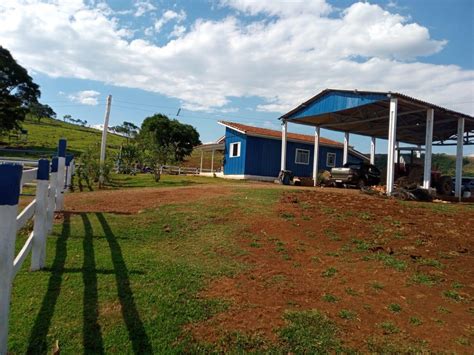 Fazenda A Venda No Paran Fazendas Mato Grosso