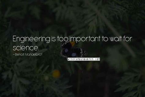 Benoit Mandelbrot Quotes Engineering Is Too Important To Wait For