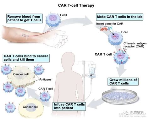 血癌血液肿瘤淋巴瘤白血病CAR T治疗 各种新型实体瘤CAR T细胞免疫疗法全面升级 全球肿瘤医生网