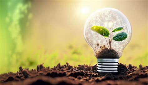 Premium Photo Light Bulb With Small Plant On Soil And Sunshine