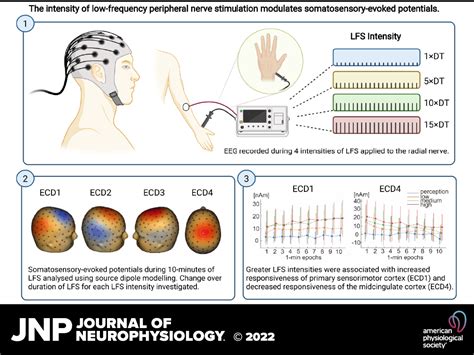 Intensity Dependent Modulation Of Cortical Somatosensory Processing