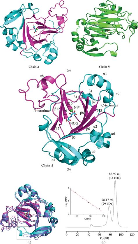 Figure From Structure Of The Jmjc Domain Containing Protein Jmjd