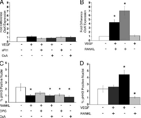 Pdf Vegf And Rankl Regulation Of Nfatc In Heart Valve Development