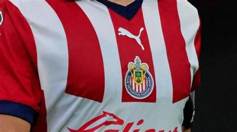 Chivas Sorprende Al Registrar A Este Jugador Para Apertura 2024 De La