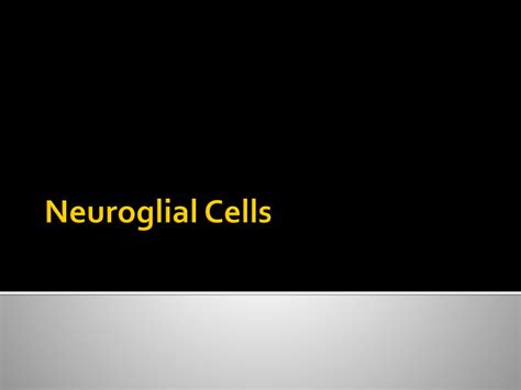 Neuroglial Cells Ppt Download