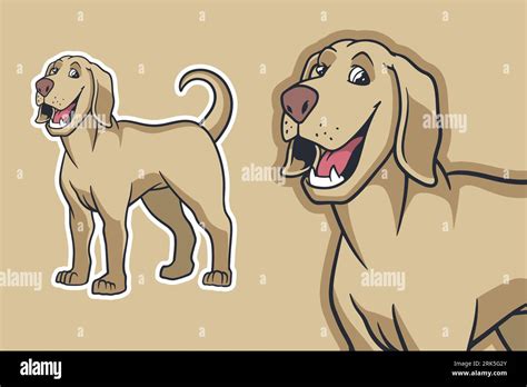 Labrador Dessin Caricature Banque D Images Vectorielles Alamy