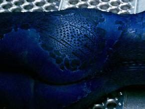 X Men The Last Stand Nude Scenes Aznude