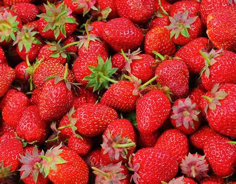 Los Beneficios De Las Fresas ¿cuáles Son Sus Propiedades