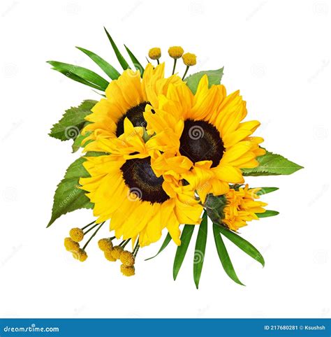 Yellow Sunflowers And Green Leaves In A Floral Arrangement Isolated Stock Image Image Of Sunny