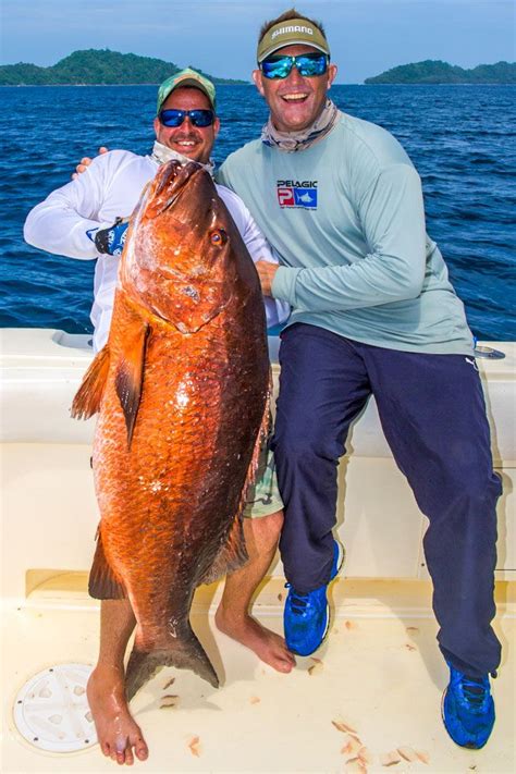 Panama Fishing Sport Fish Panama Island Lodge Fish Beautiful Sea