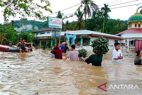 Rumah Hingga Puluhan Hektare Sawah Warga Terendam Banjir Di Solok