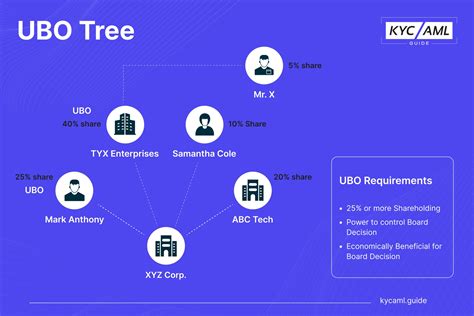 What Is An Ultimate Beneficial Owner Ubo In Kyc Kyc Aml Guide