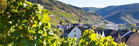 Zell An Der Mosel Hotel Weinhaus Mayer