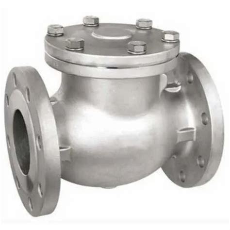 Stainless Steel Swing Check Valve Packaging Type Box At Rs In Pune