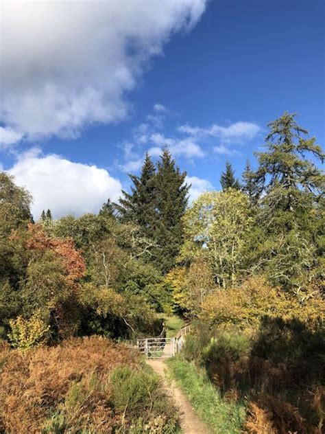 Ruta Oto Al Por Dunkeld Y The Hermitage En Perthshire Escocia Sin