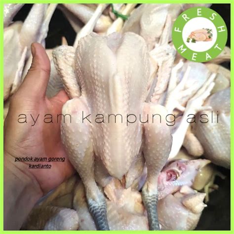 Jual Ayam Kampung Fresh Shopee Indonesia