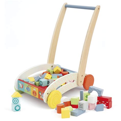 Chariot De Marche Avec 48 Blocs De Construction WOOD N PLAY King