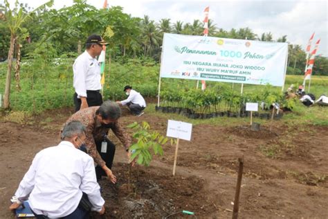 Pemkab Kulon Progo Mendorong Petani Kuasai Ilmu Pertanian ANTARA News