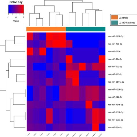 Heatmap Of Mirnas In Lgmd Patients And Healthy Controls Hierarchical