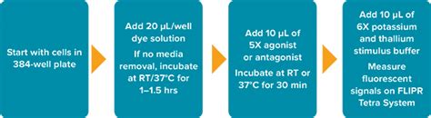 Characterization of hERG channel blockers using the FLIPR Potassium ...