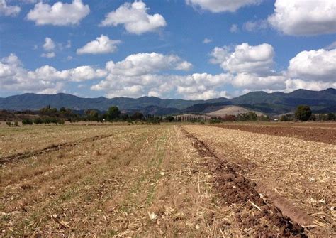 La Cobertura De Rastrojos En El Estado De Oaxaca Cimmyt