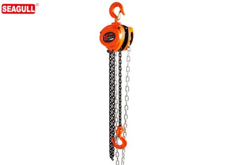 All Steel Construction Manual Chain Pulley Block Hoist Capacity Kg