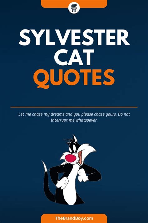 372 Sylvester Cat Quotes And Sayings That Will Make You Paws For