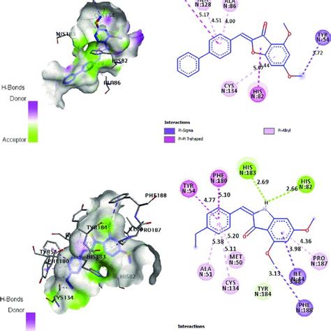 2d And 3d Docking Poses Showing Interactions Of Compounds 13 And 20 In