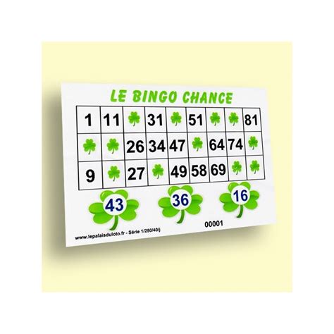 Le Bingo Chance Partie Sp Ciale Lors De Votre Loto