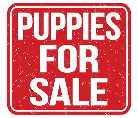 Puppies For Sale Text Written On Red Stamp Sign Stock Illustration Illustration Of Puppies