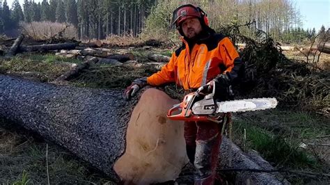 The 5 Best Chainsaw For Felling Tree Toolcraftz