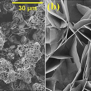 Sem Micrographs Of As Grown Samples A B Wide And Close View