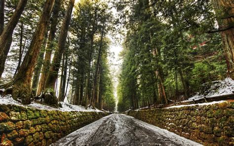 Wallpaper Sunlight Trees Nature Park Snow Wall Road Wilderness