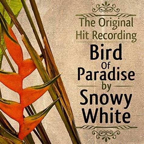 ‎Bird of Paradise - Single - Album by Snowy White - Apple Music