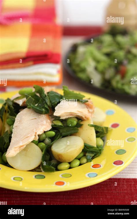 Hot Smoked Salmon Stock Photo Alamy