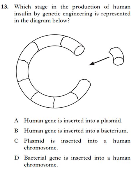 Genetic Engineering - National 5 Science