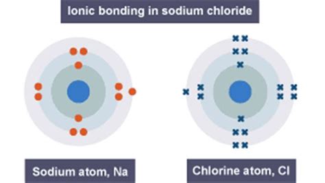 Sodium Chloride Dot And Cross Diagram