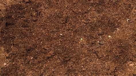 berita hari hati tanah dunia hari  kabar terbaru terkini