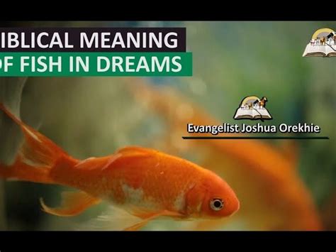 The Spiritual Significance Of Fish In Dreams Unlocking Biblical