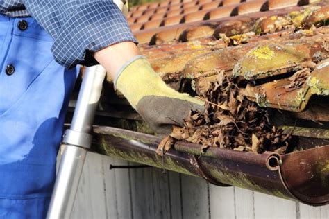 Reasons To Hire A Gutter Cleaning Company Gutter Guys