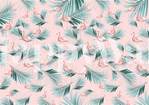 Buy Blush Flamingo Palm Vibes A Wallpaper Happywall