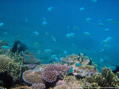 Snorkeling in Fiji along the coral reefs | HI Travel Tales