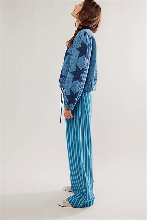 Hudson Canyon Stripe Pants Free People